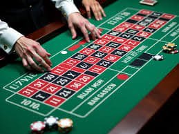 Live dealer studio mujur505 untuk Colok Naga dengan kualitas HD